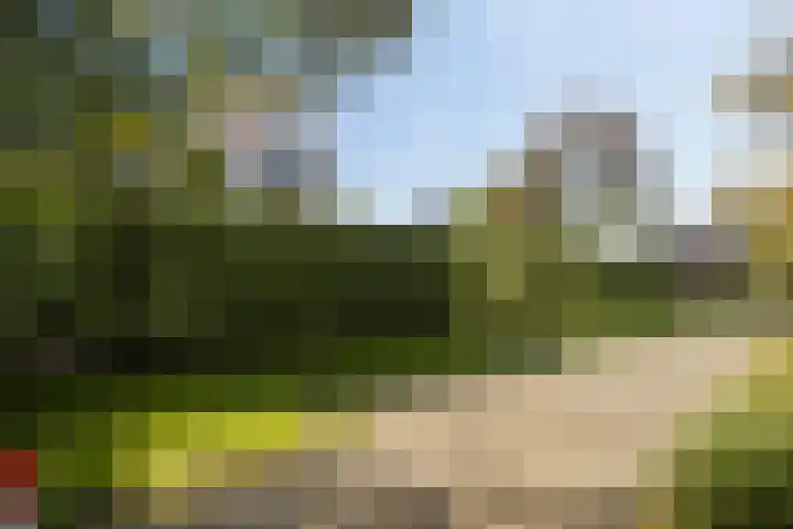 Veenderij 45 Tolbert thumbnail 39