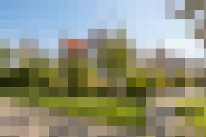 Veenderij 45 Tolbert thumbnail 40