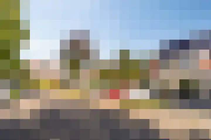 Veenderij 45 Tolbert thumbnail 41