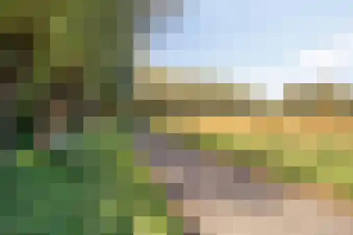 Veenderij 45 Tolbert thumbnail 42