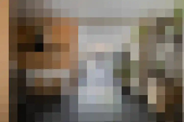 Veenderij 45 Tolbert thumbnail 9