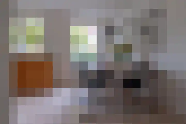 Veenderij 54 Tolbert thumbnail 18