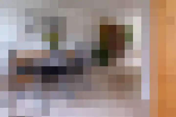 Veenderij 54 Tolbert thumbnail 19