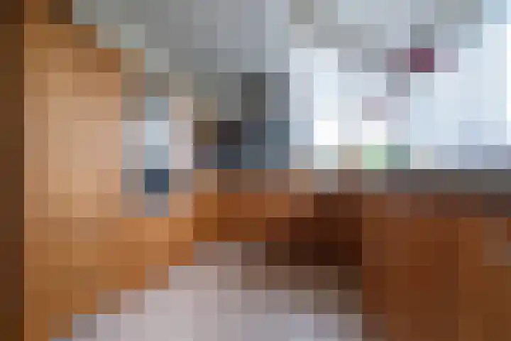Veenderij 54 Tolbert thumbnail 20