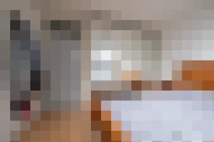 Veenderij 54 Tolbert thumbnail 26