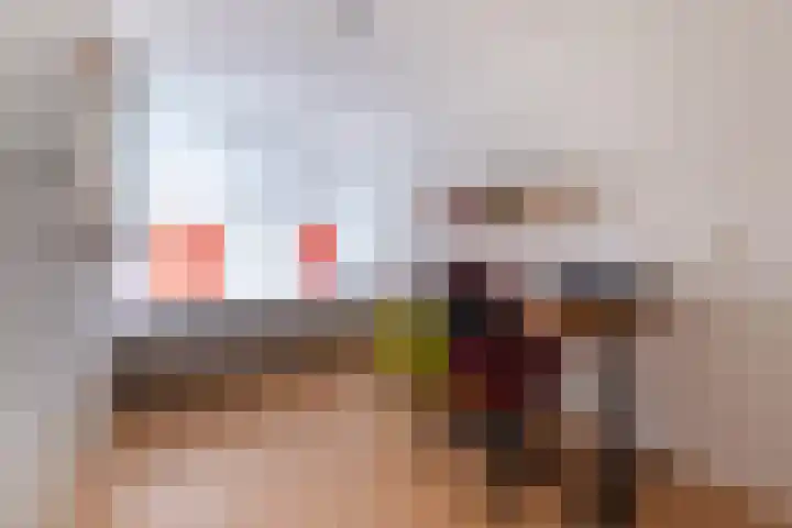 Veenderij 54 Tolbert thumbnail 27