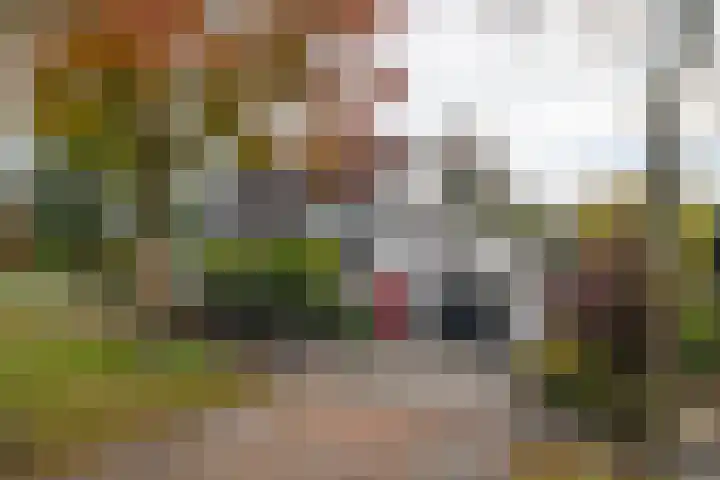 Veenderij 54 Tolbert thumbnail 7