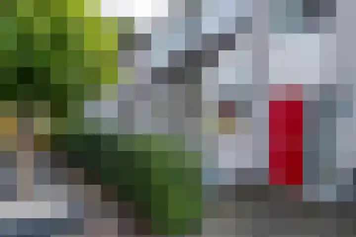 Veenderij 54 Tolbert thumbnail 8