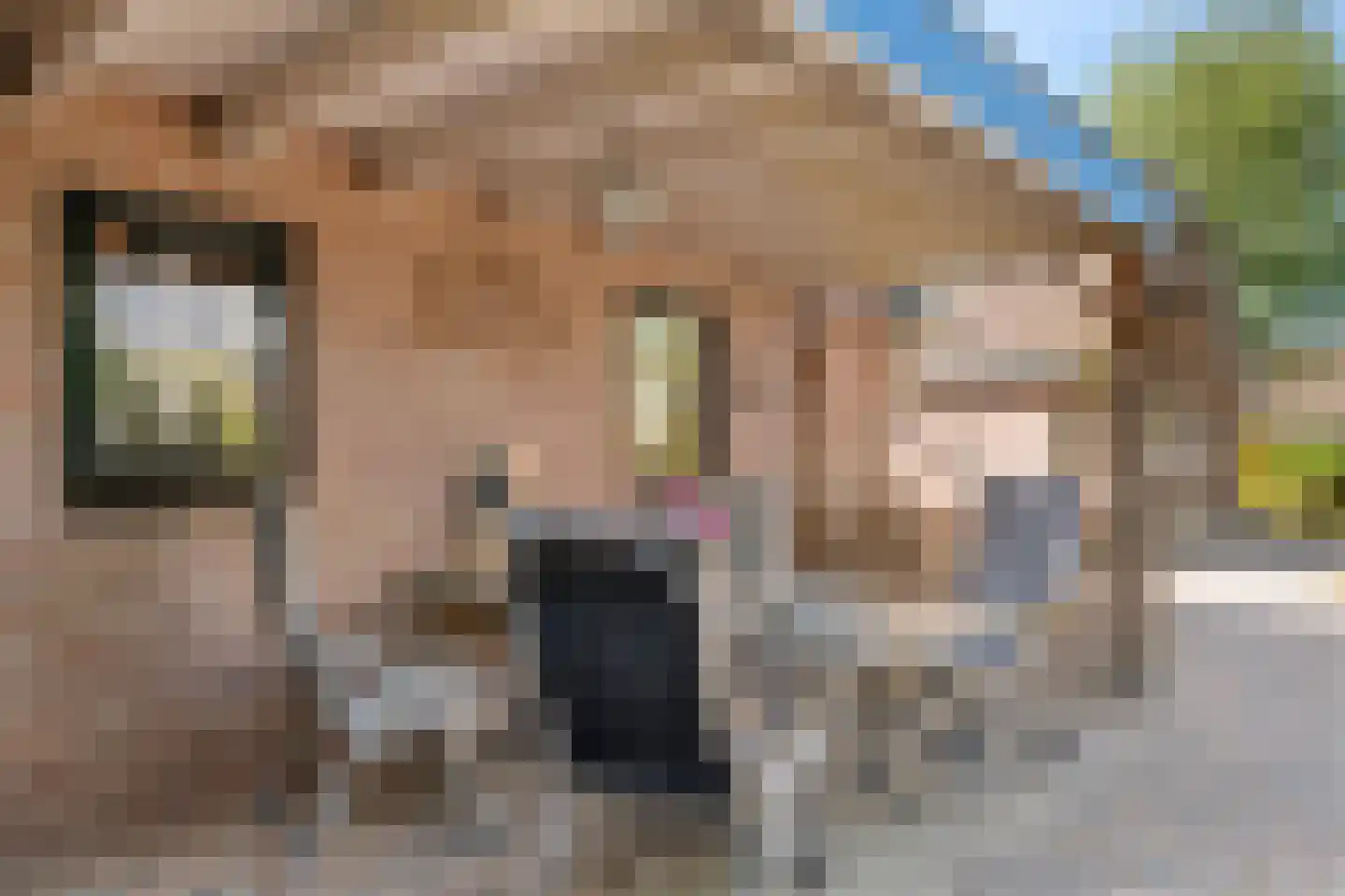Veendersteeg 4 Bennekom thumbnail 29