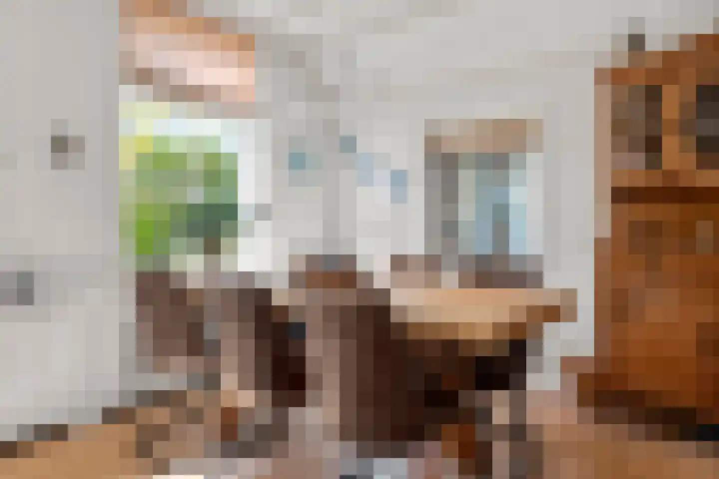 Veendersteeg 4 Bennekom thumbnail 38
