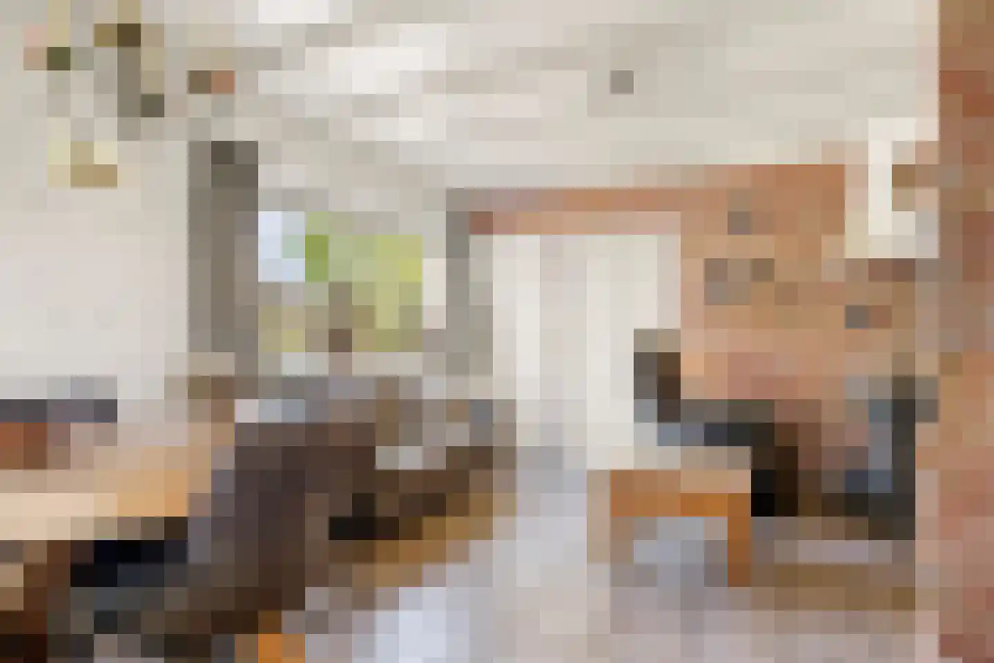 Veendersteeg 4 Bennekom thumbnail 40