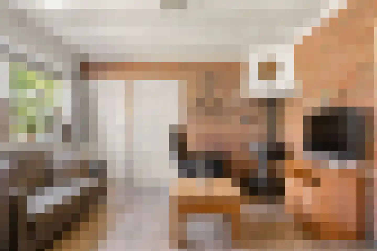 Veendersteeg 4 Bennekom thumbnail 41