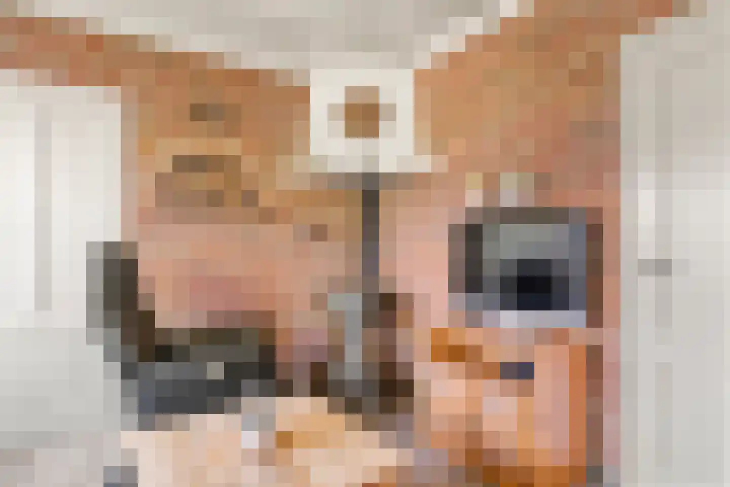 Veendersteeg 4 Bennekom thumbnail 42
