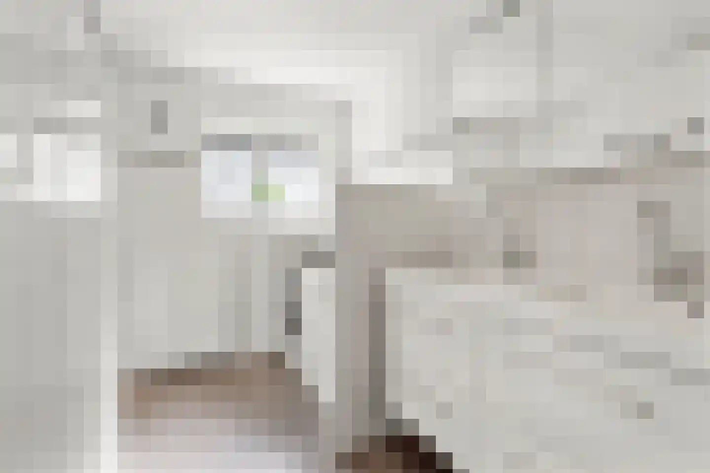 Veendersteeg 4 Bennekom thumbnail 44