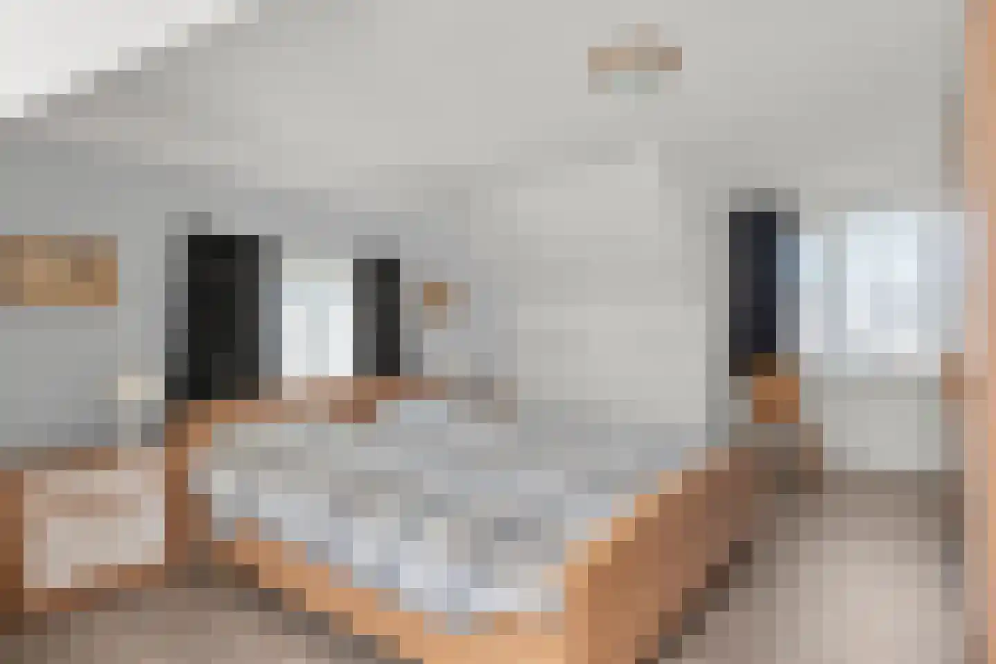 Veendersteeg 4 Bennekom thumbnail 49