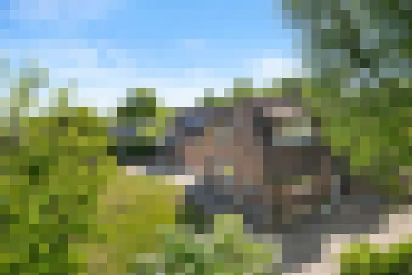 Veendersteeg 4 Bennekom thumbnail 9