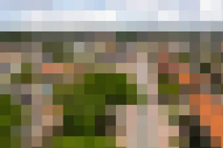 Veenderweg 110 Ede thumbnail 23