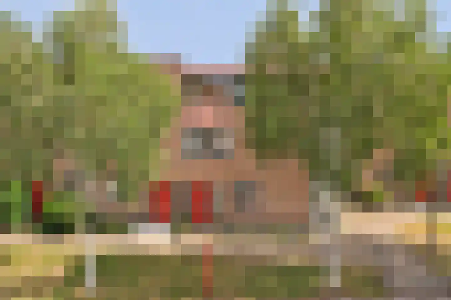 Veenderweg 15 A Ede thumbnail 27