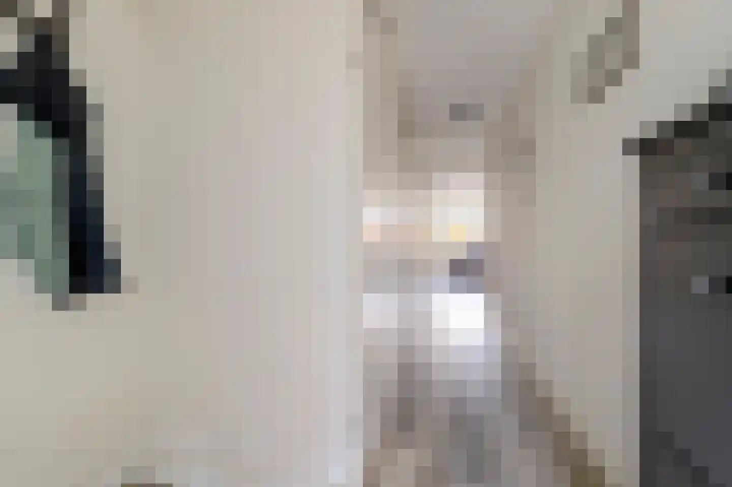 Veenderweg 15 A Ede thumbnail 9
