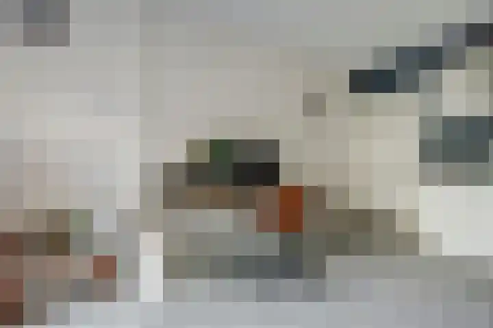 Veenderweg 20 B Ede thumbnail 17
