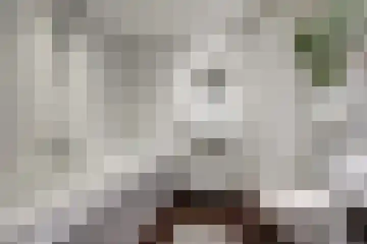 Veenderweg 20 B Ede thumbnail 23