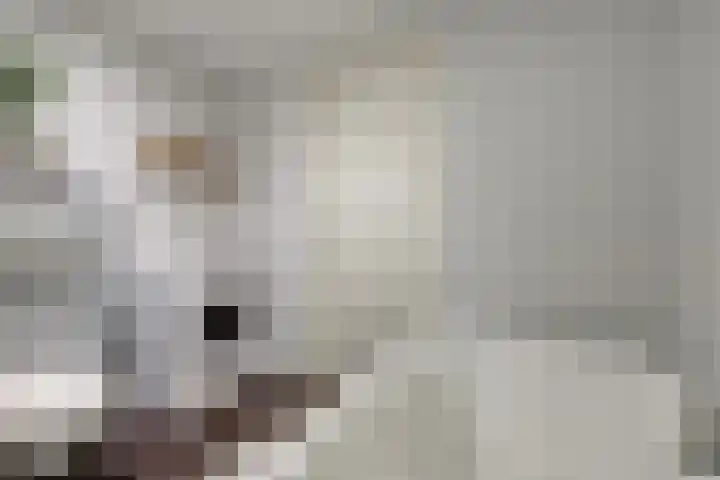 Veenderweg 20 B Ede thumbnail 24