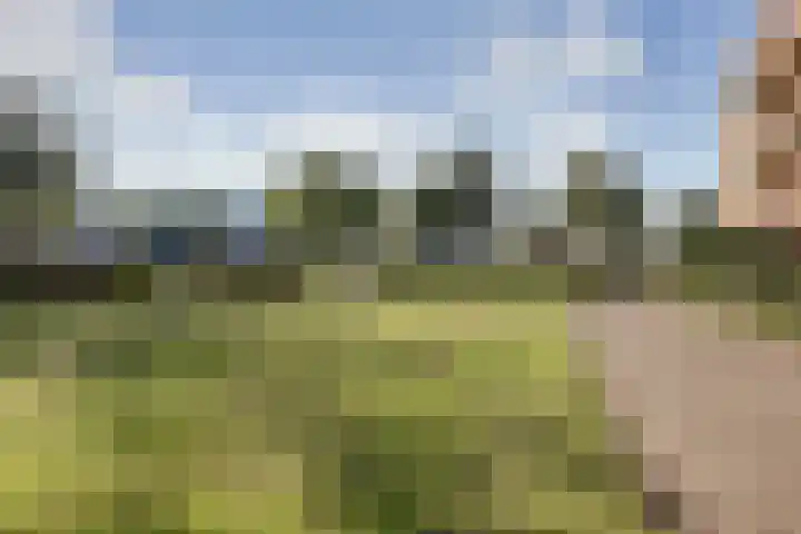 Veenderweg 20 B Ede thumbnail 30
