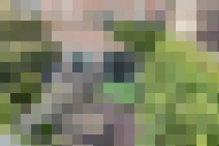 Veenderweg 20 B Ede thumbnail 4
