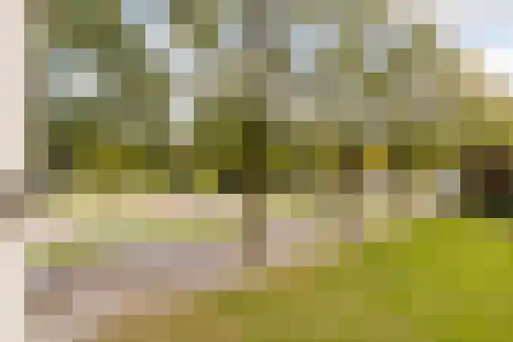 Veenderweg 251 Ede thumbnail 18