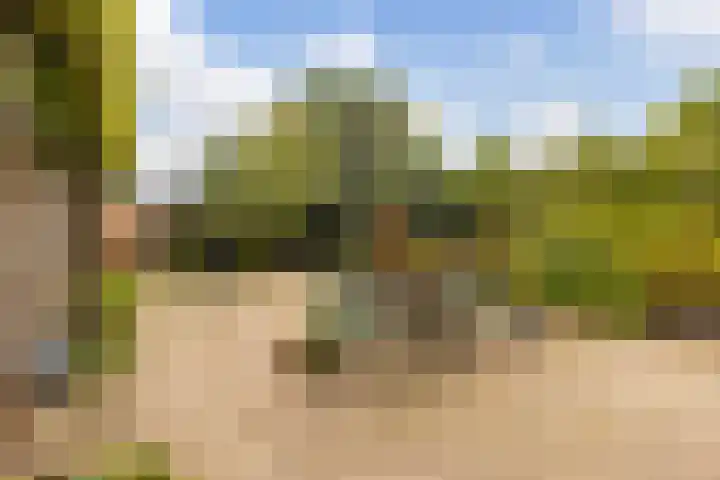 Veenderweg 251 Ede thumbnail 25