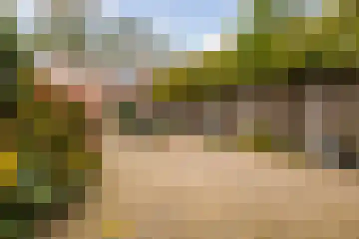 Veenderweg 251 Ede thumbnail 27