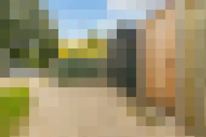 Veenderweg 251 Ede thumbnail 29