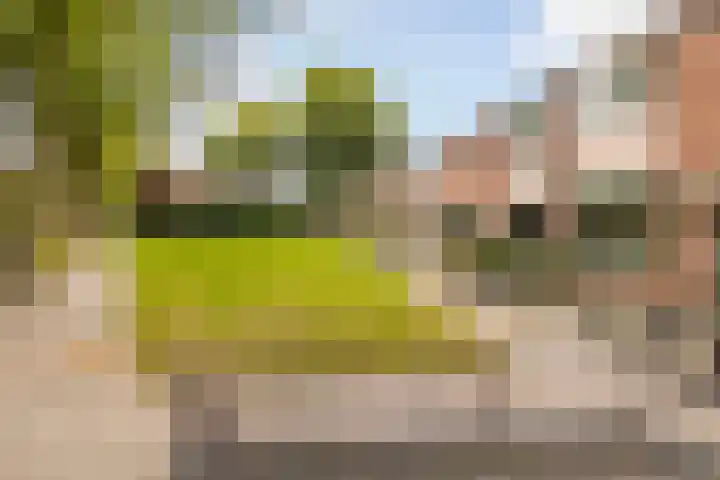 Veenderweg 251 Ede thumbnail 30