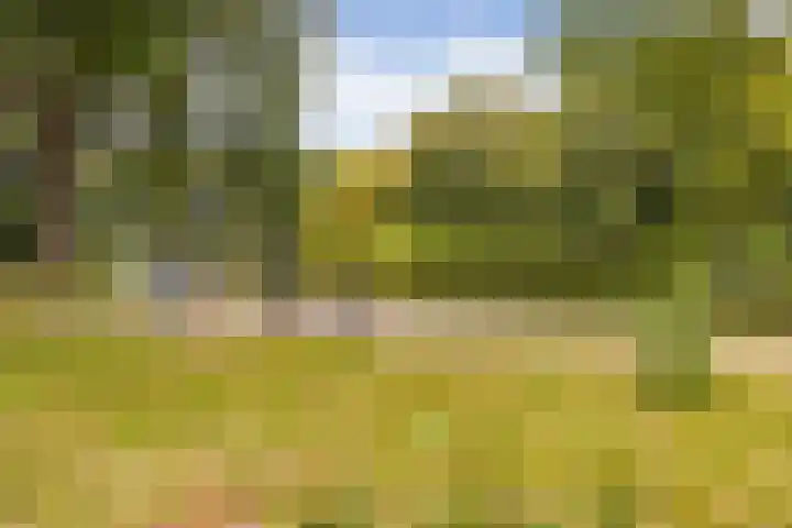 Veenderweg 251 Ede thumbnail 32