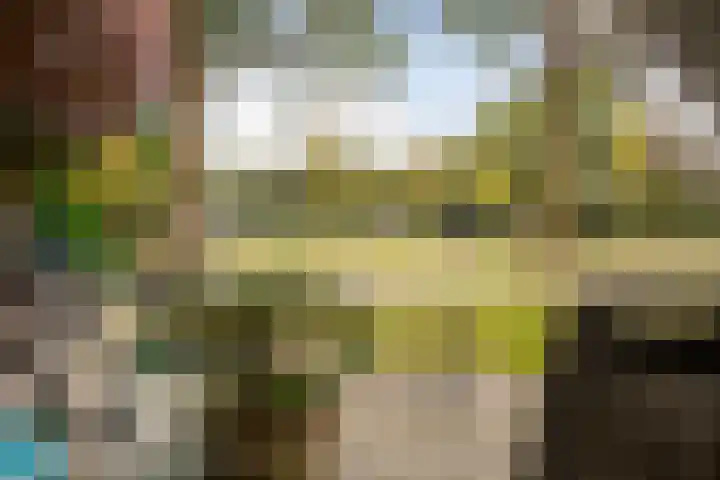 Veenderweg 251 Ede thumbnail 4