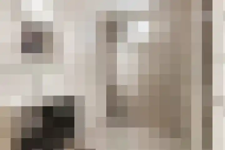 Veenderweg 35 A Ede thumbnail 22