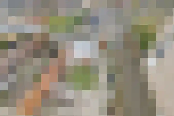 Veenderweg 45 A Ede thumbnail 35