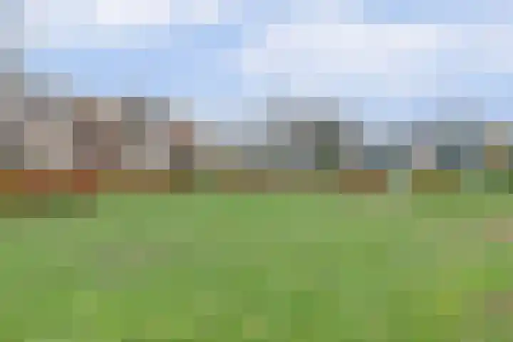 Veenderweg 45 A Ede thumbnail 42