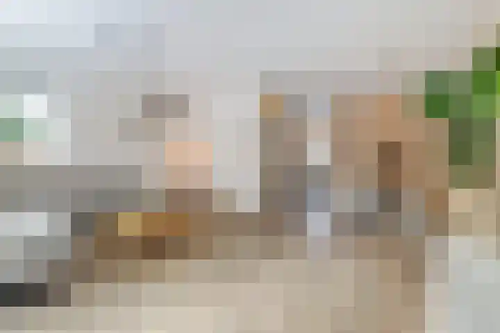 Veenderweg 45 A Ede thumbnail 8