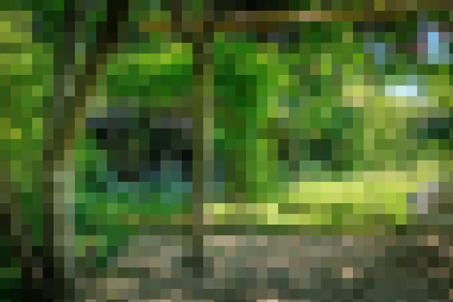 Veenderweg 56 Ede thumbnail 12