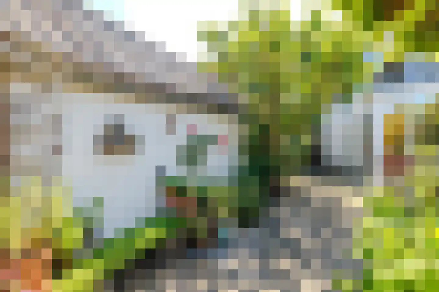 Veenderweg 56 Ede thumbnail 52