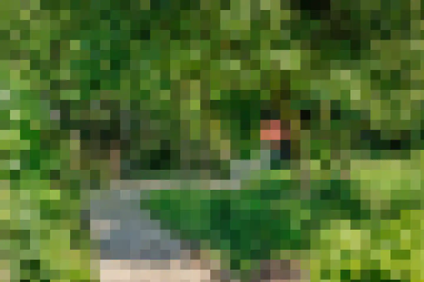 Veenderweg 56 Ede thumbnail 54