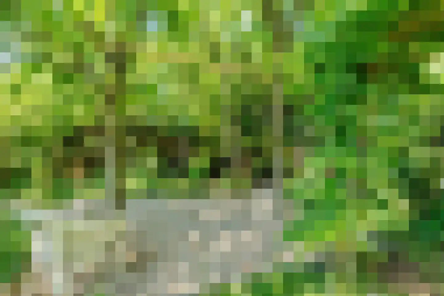 Veenderweg 56 Ede thumbnail 55