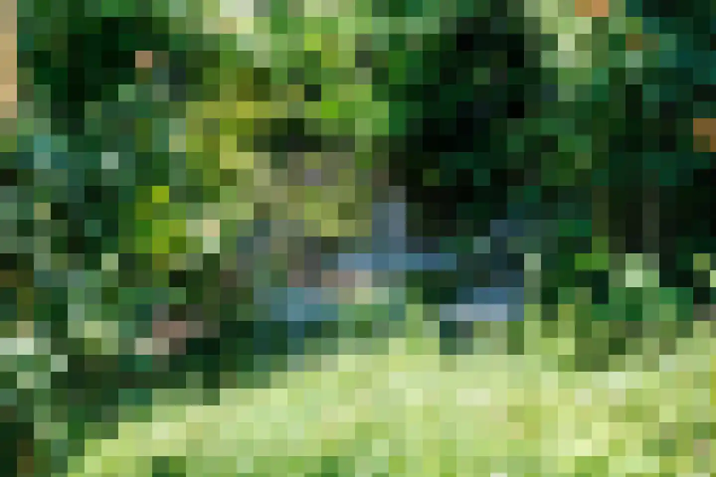 Veenderweg 56 Ede thumbnail 60
