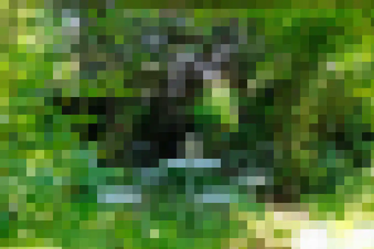 Veenderweg 56 Ede thumbnail 61