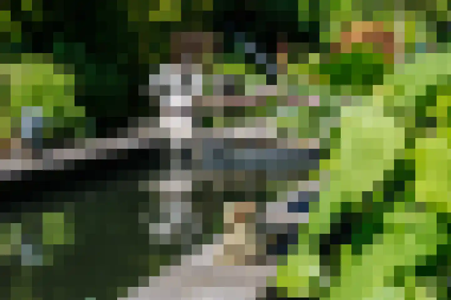 Veenderweg 56 Ede thumbnail 65
