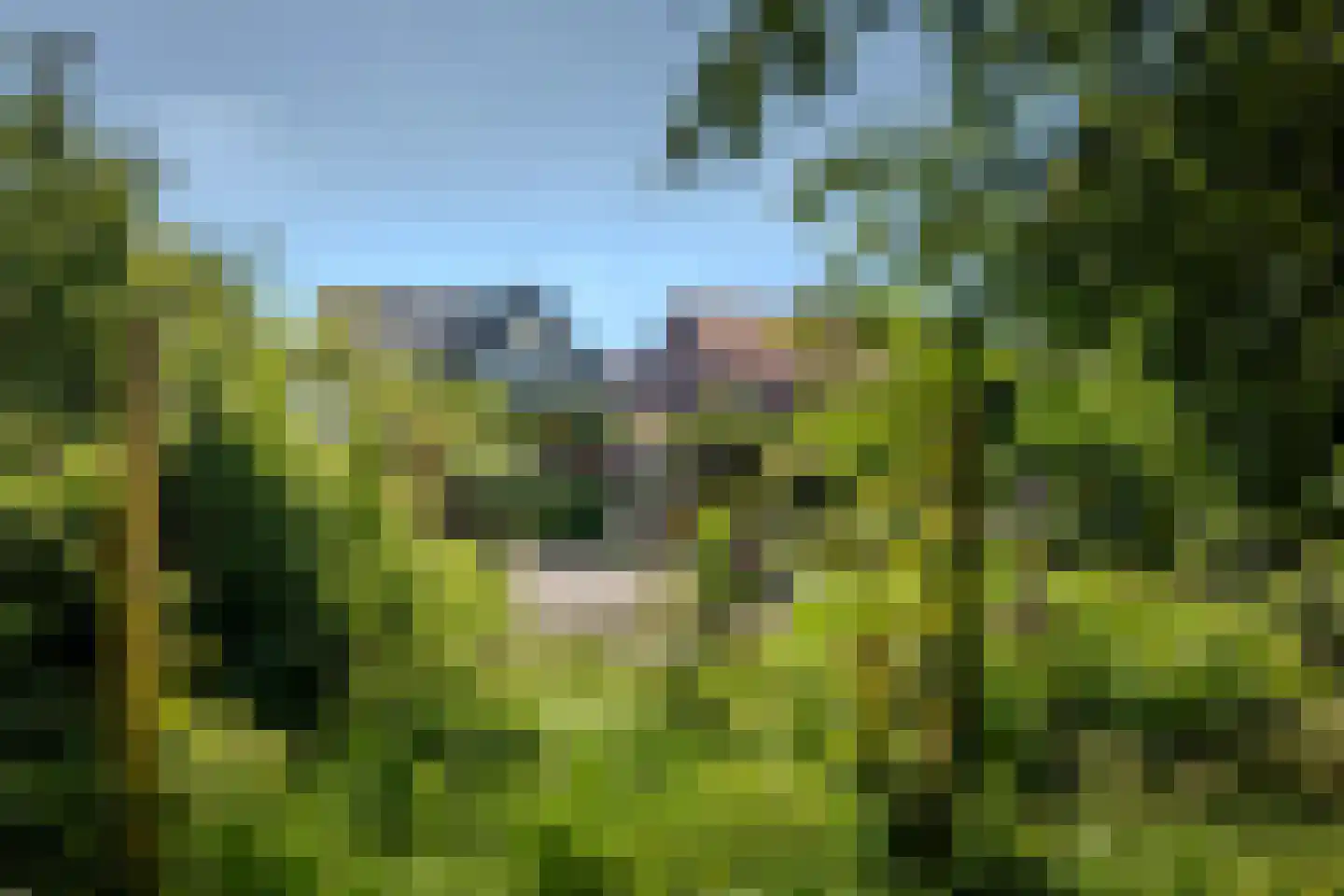 Veenderweg 56 Ede thumbnail 7