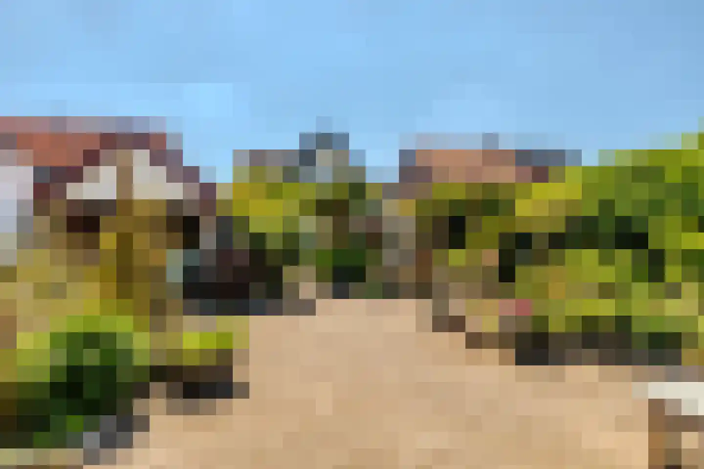 Veenderweg 56 Ede thumbnail 8