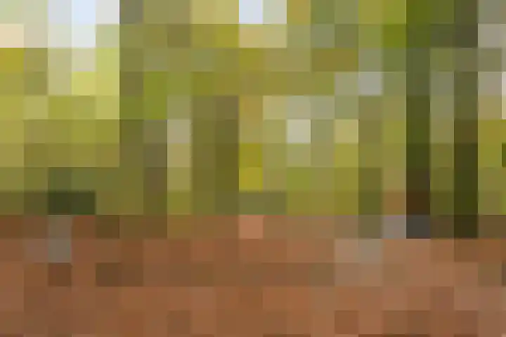 Veenderweg 6 C Bennekom thumbnail 19