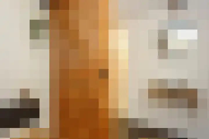 Veenderweg 6 C Bennekom thumbnail 9
